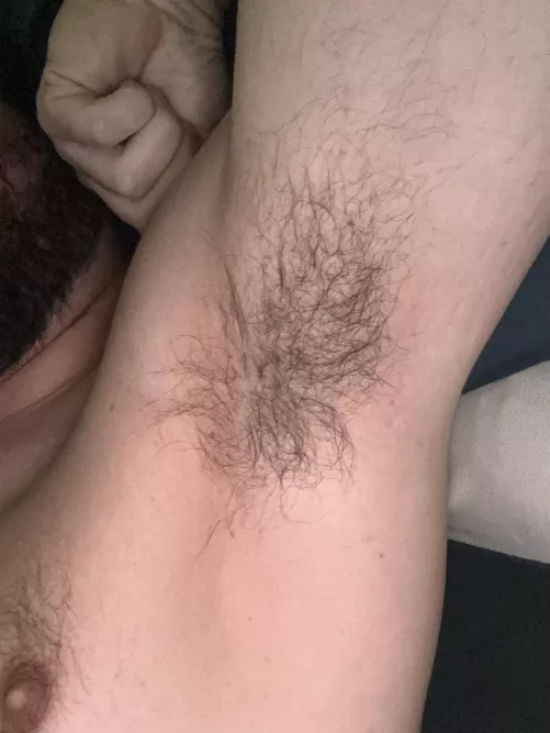 Get in there bro by SaltyPanda93