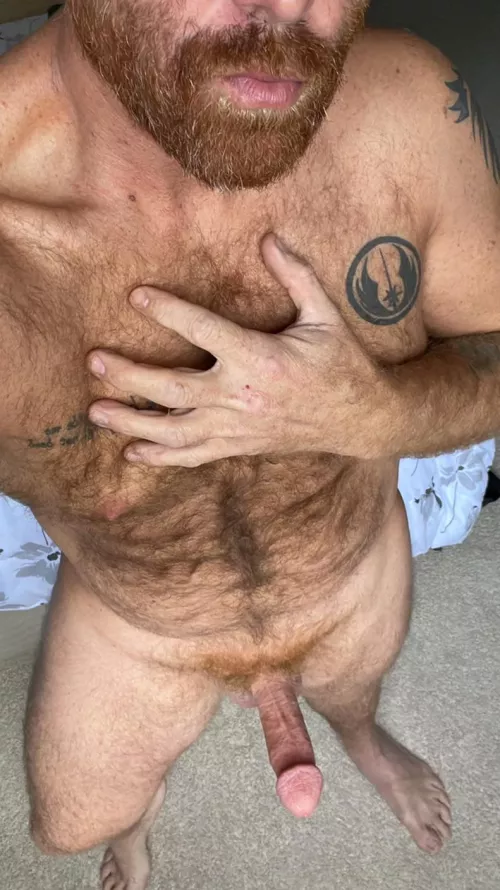 Hi! I’m Slone! Lost my other account 😞 by Mr_Slone_Taylor