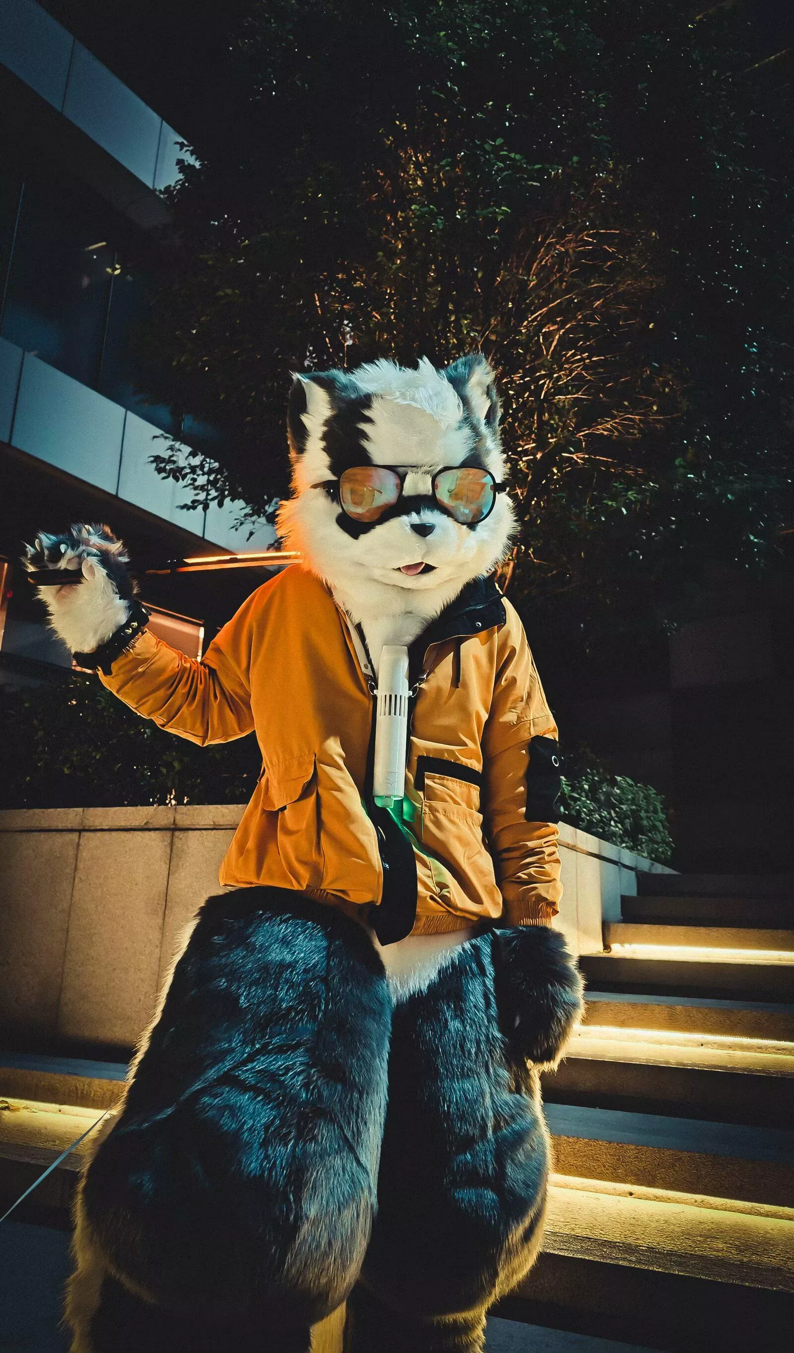 I can't live without my sunglasses anymore. posted by Reup_Aet