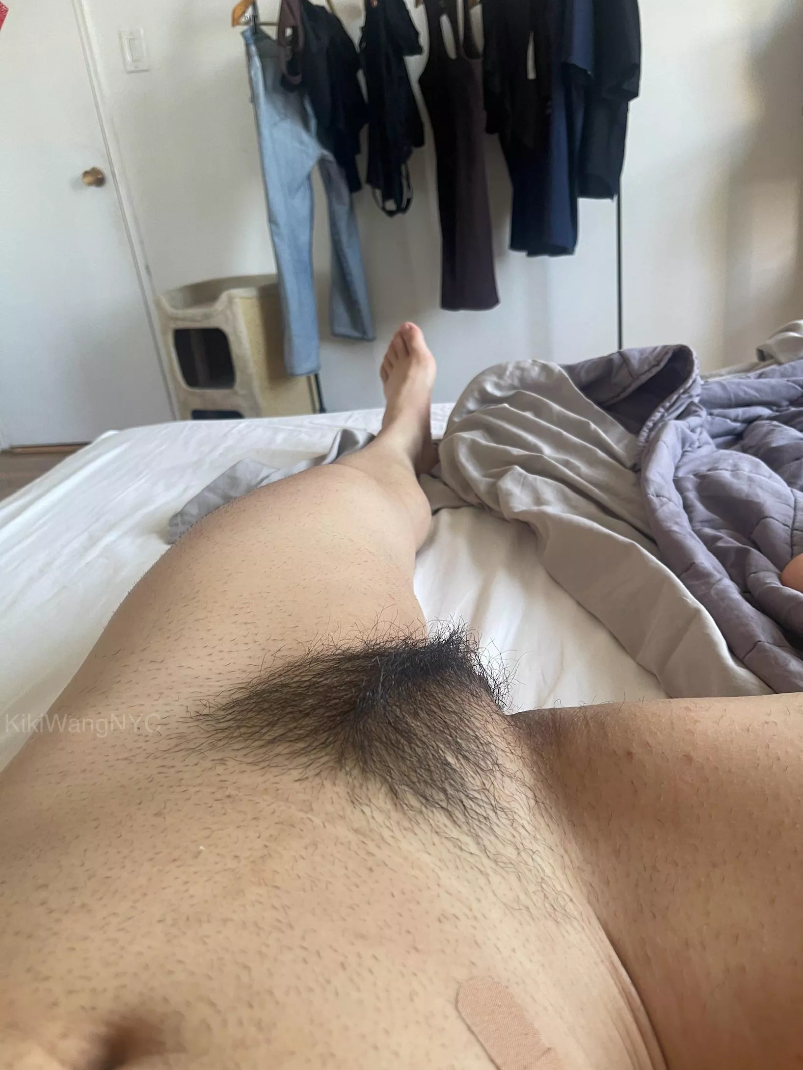 Is the belly hair a turnoff  posted by KikiWangNYC