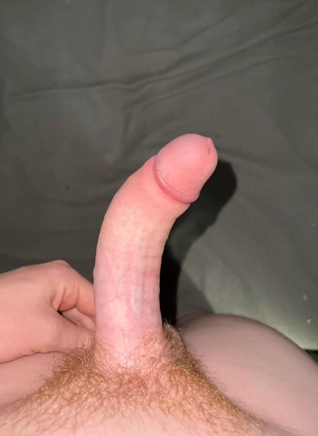 Message for more (19) posted by Lower_Bus_1115