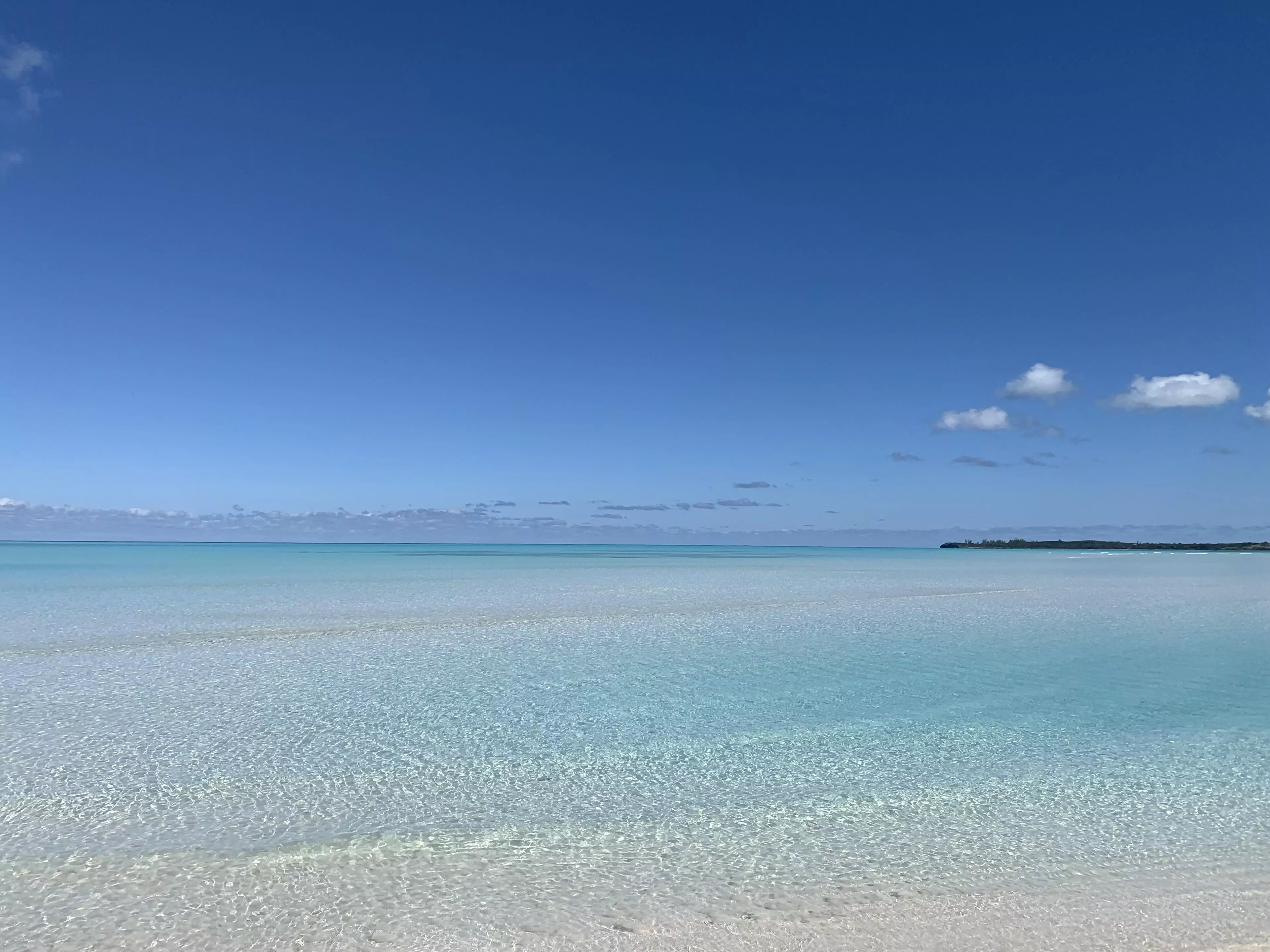 Spanish Wells, Bahamas posted by coconut-telegraph