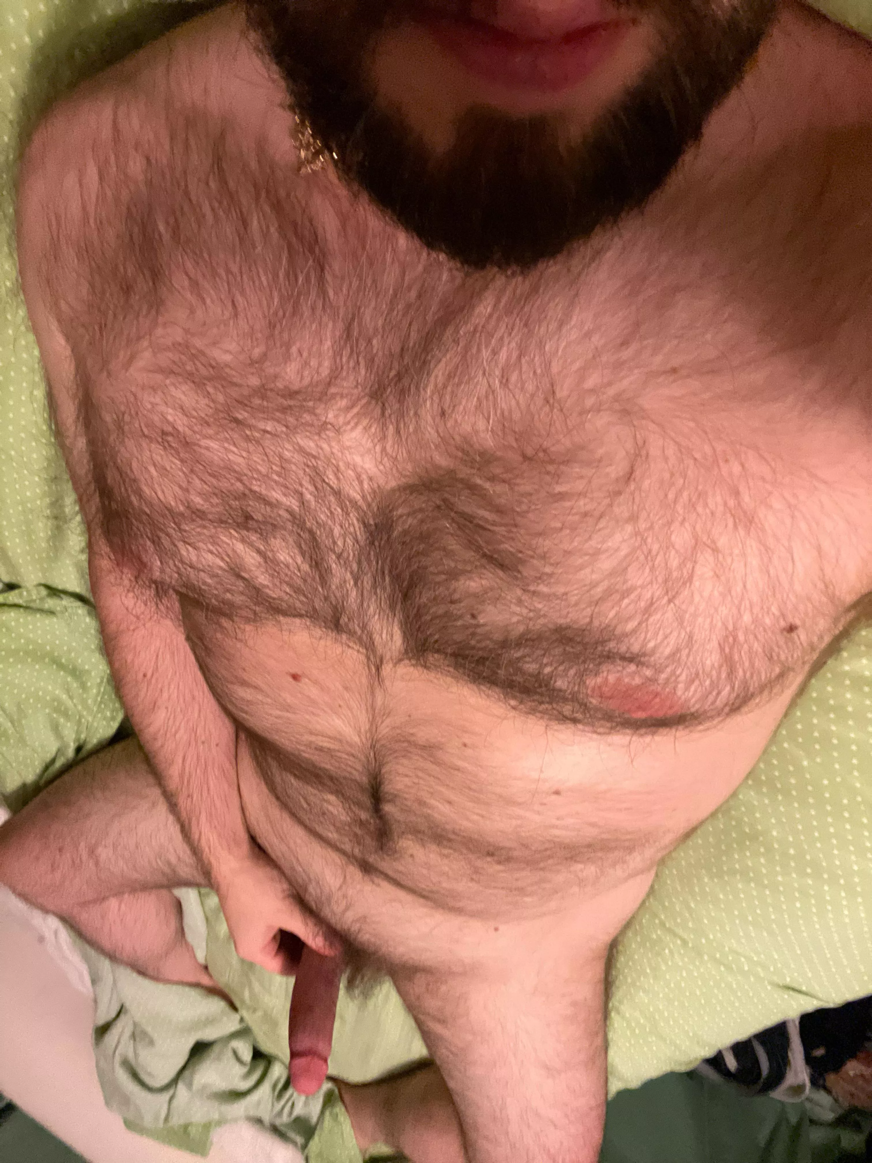 [40] Looking for other hairy men to jerk with. Hit me up. posted by Bryc235