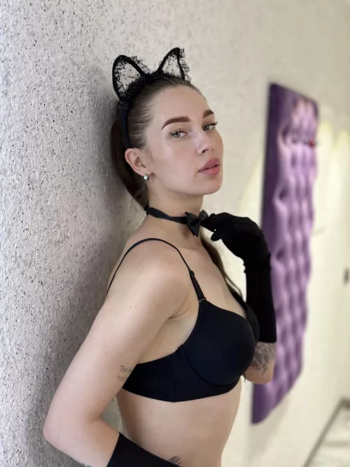 fantastic black cat by apple_only_