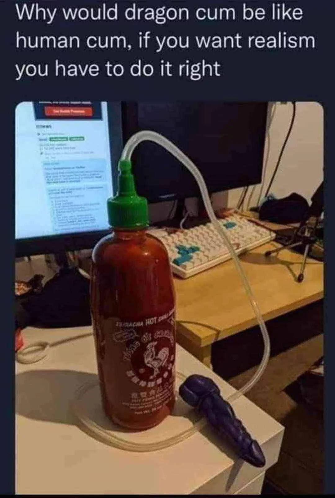 Quite the experience. posted by disgruntled_disaster