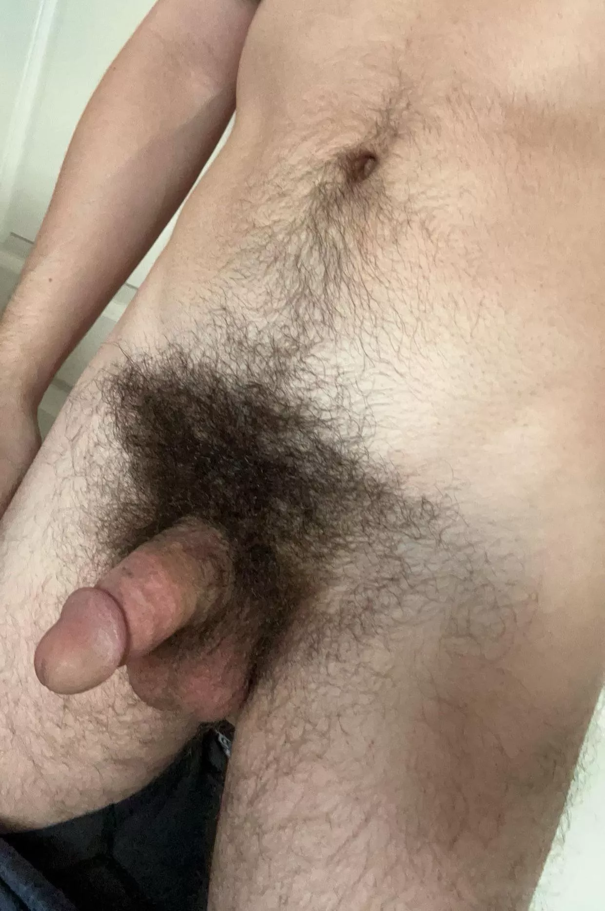 Think my bush and soft cock go well together posted by Ok_Suggestion_3510