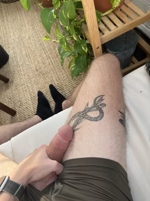 [23] new here by No-Internet-2306