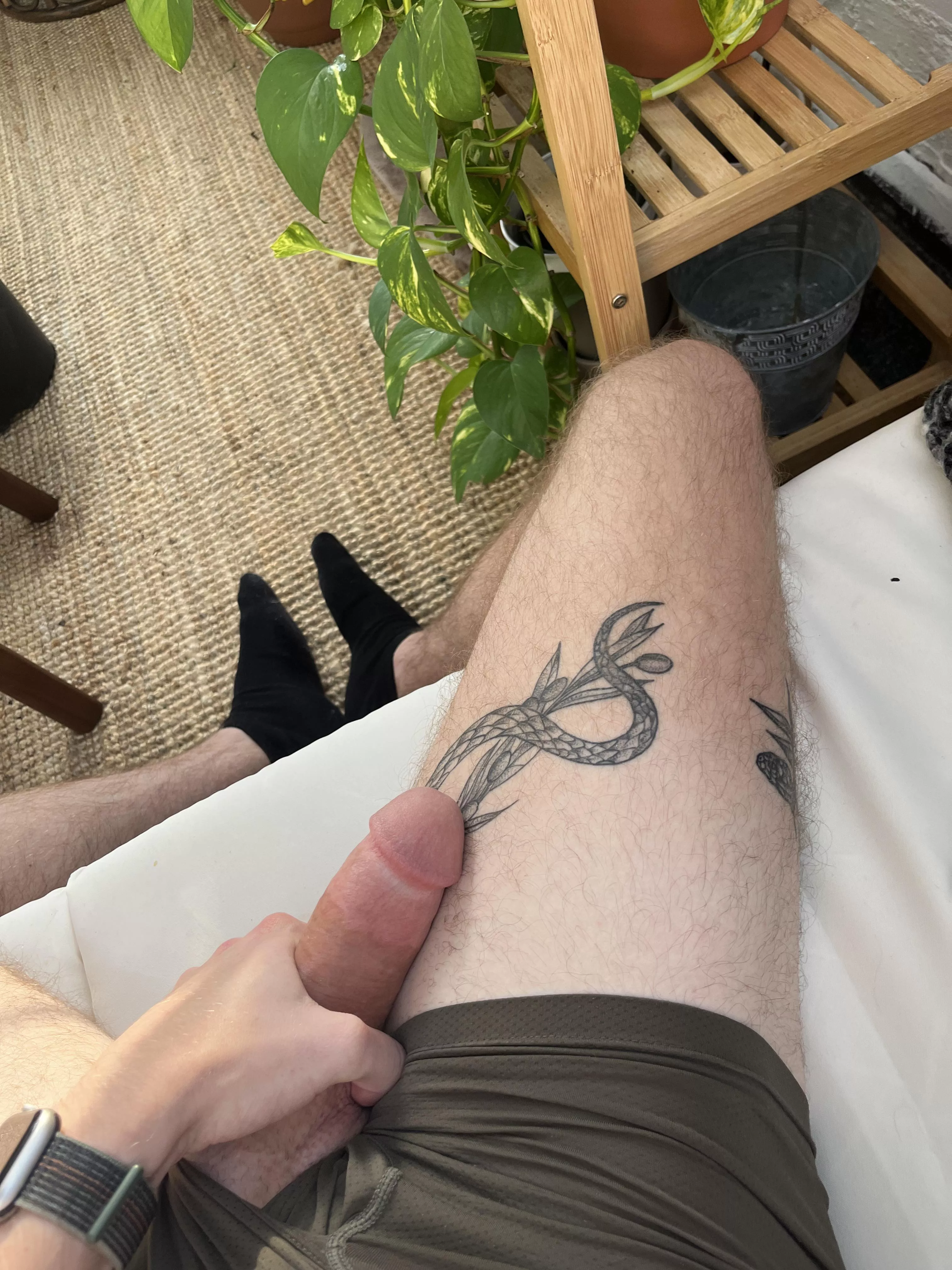 [23] new here posted by No-Internet-2306