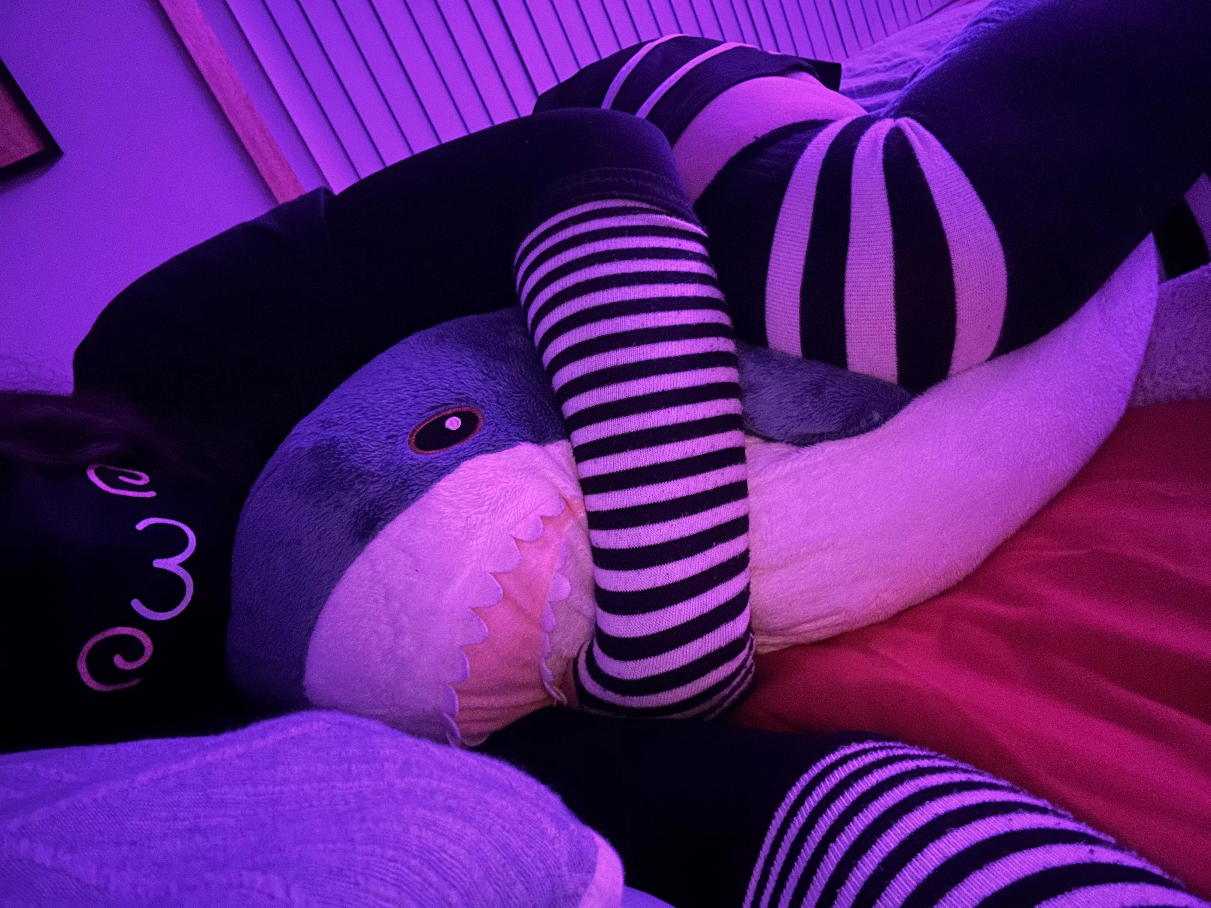 Boys when their lonely :c posted by DaBunnyEnthusiast