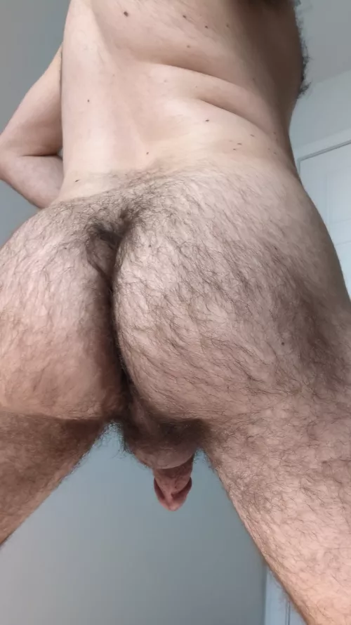 Showing you all my hairy butt, and my penis dangling from behind by Rod-Hard7