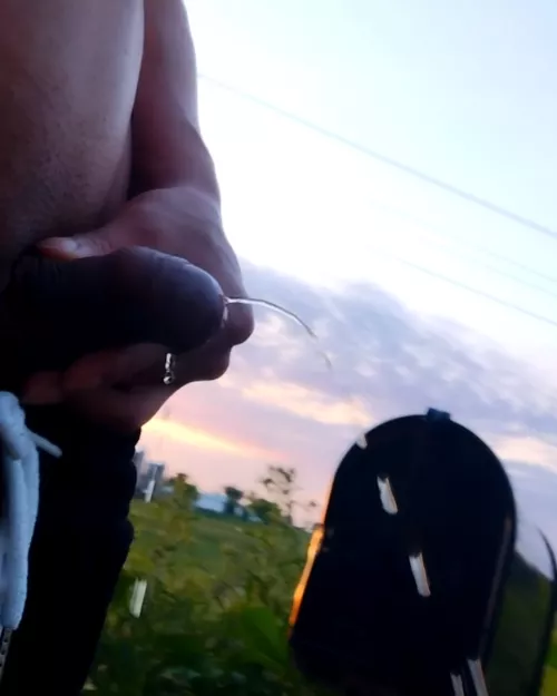 Would you drink me by the mailbox?  by abundantwanderer