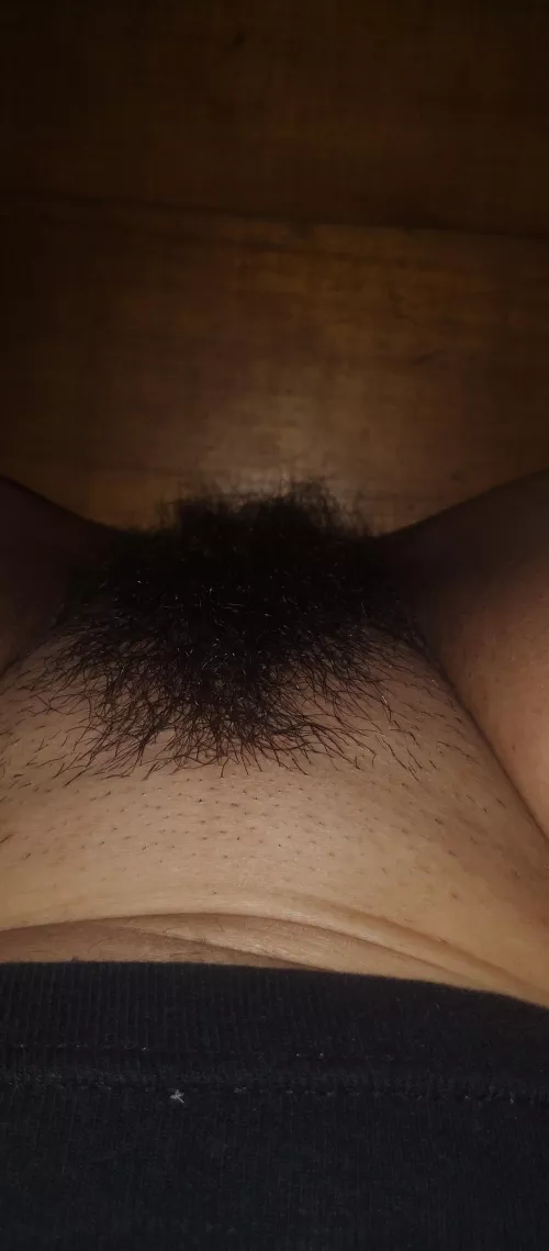 Adjust my bush a little  by katyIII