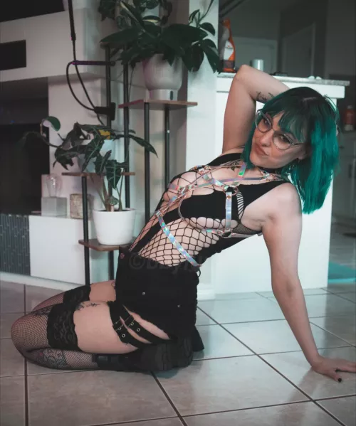 Colorful hair and a colorful harness;) by bbyluna_