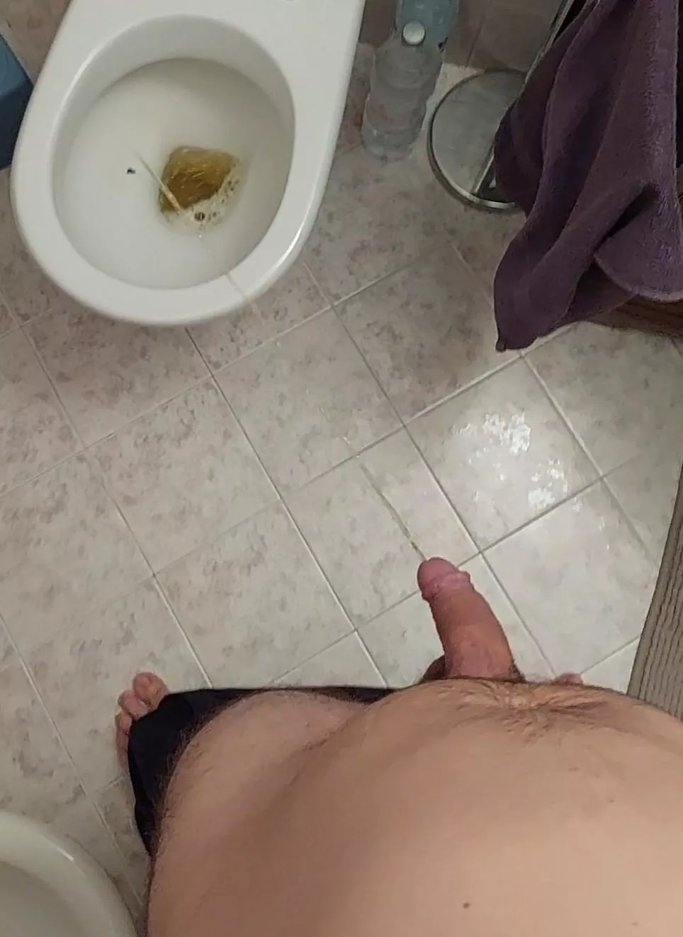 Do I have a good aim? Hands free posted by No-Echidna974