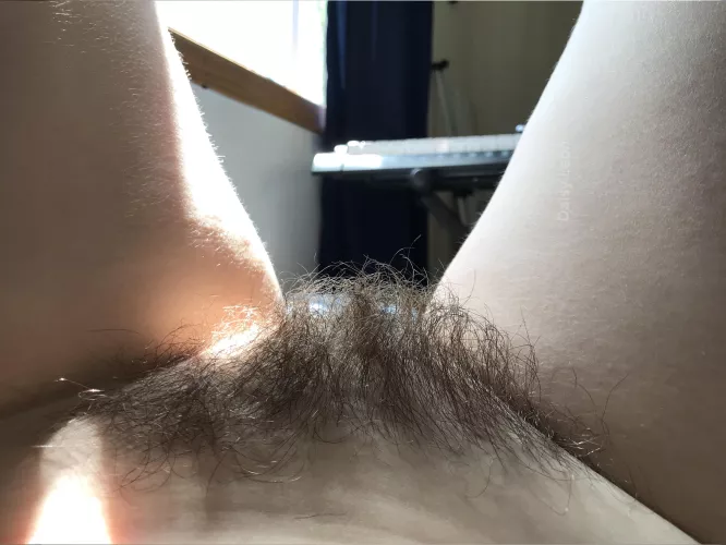 Hairy pussy is the best pussy by DaisyLeonXXX
