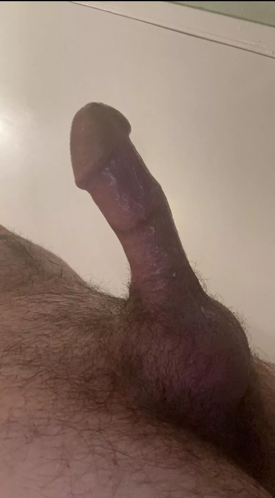 Small or big? posted by Traditional-Sound857