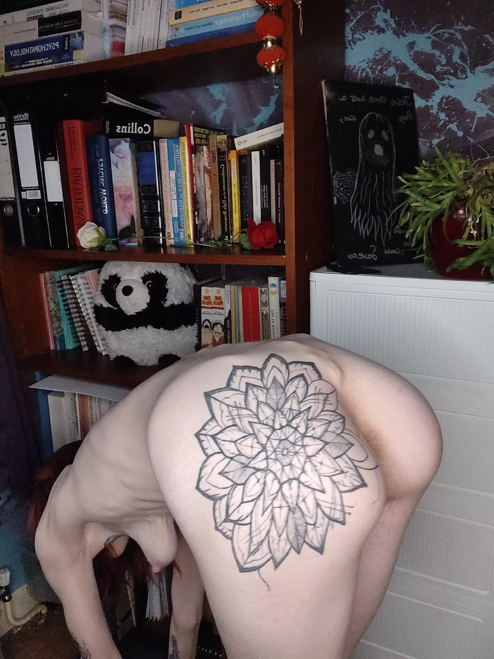 [wbo oc] so flexable and bendable its fun posted by AprilAddams