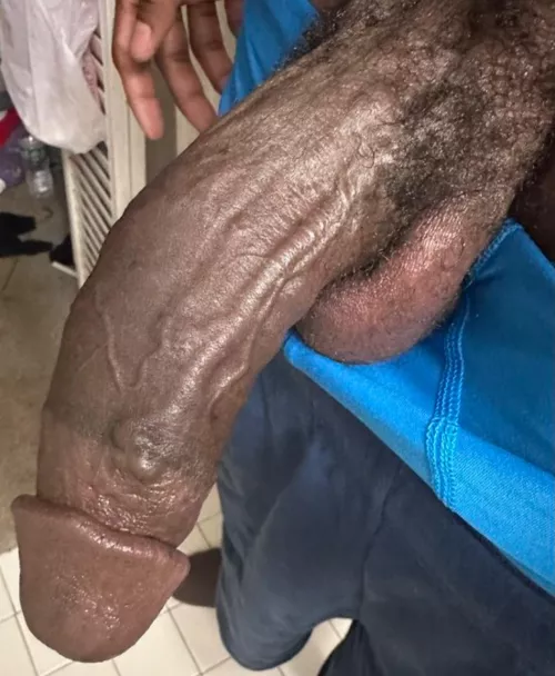 Who needs this? by Dongking2