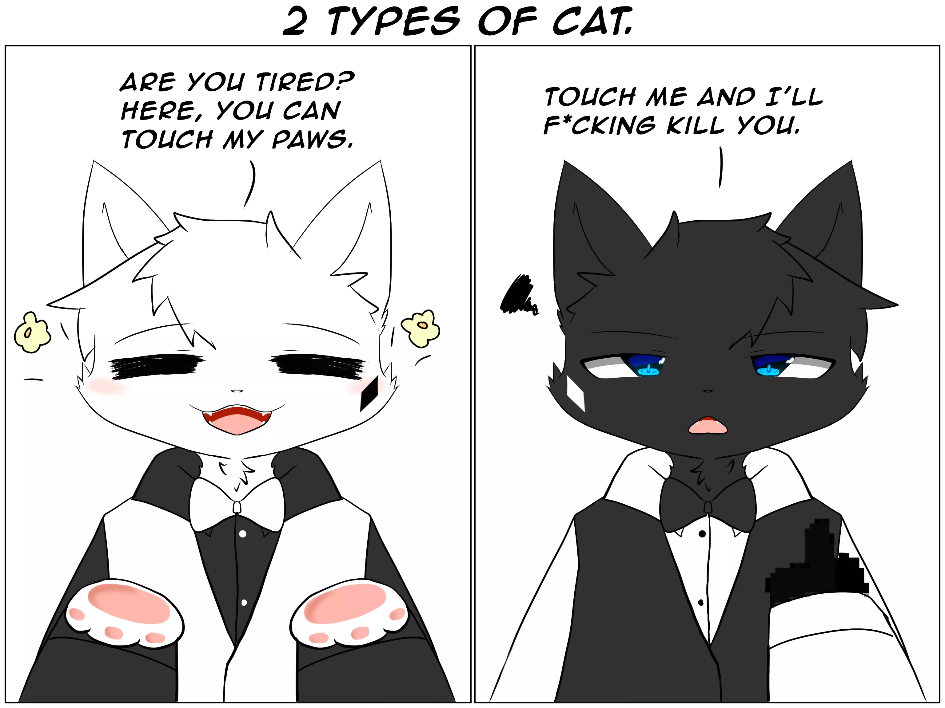 2 types of cats. posted by Kurosh1ro