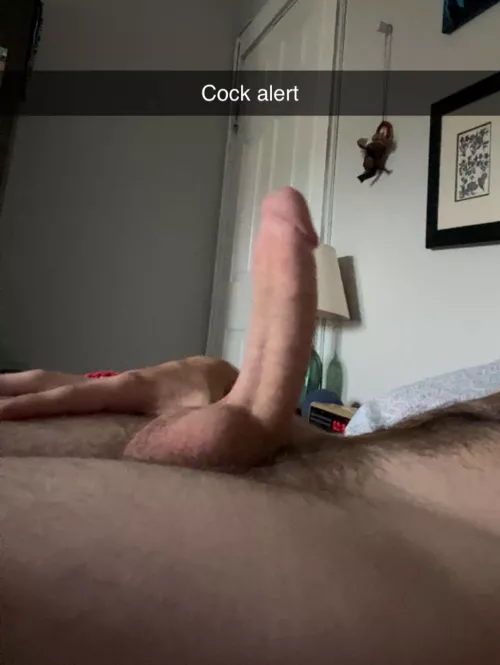 First time posting dick online lol thoughts? Opinions? by Soapboxfella