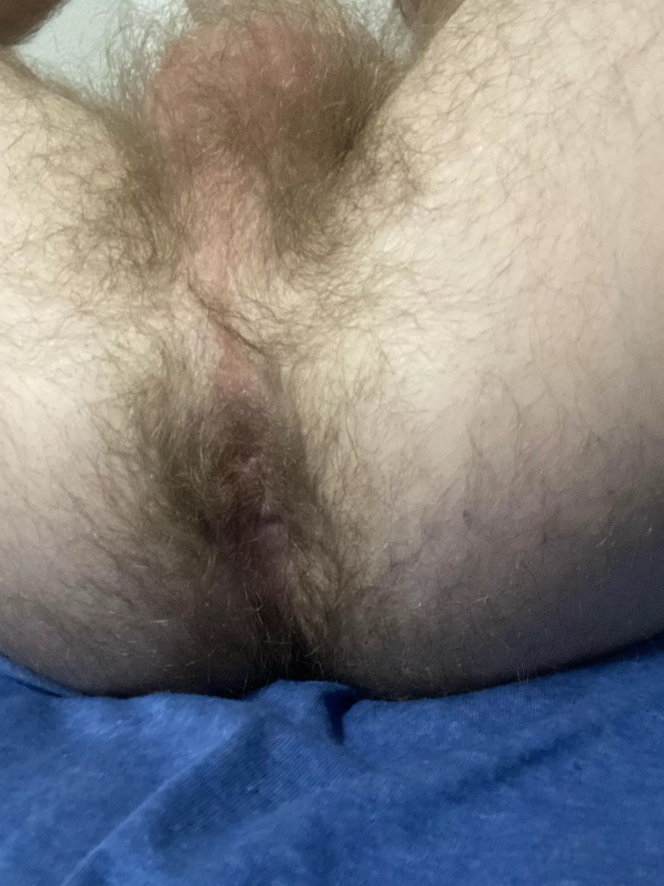 Never shaving posted by Outside-Landscape712