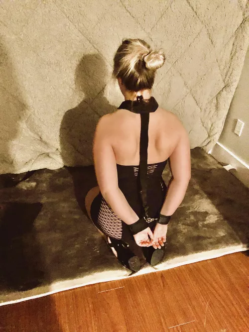 Patiently waiting by Western_Hamster_4926