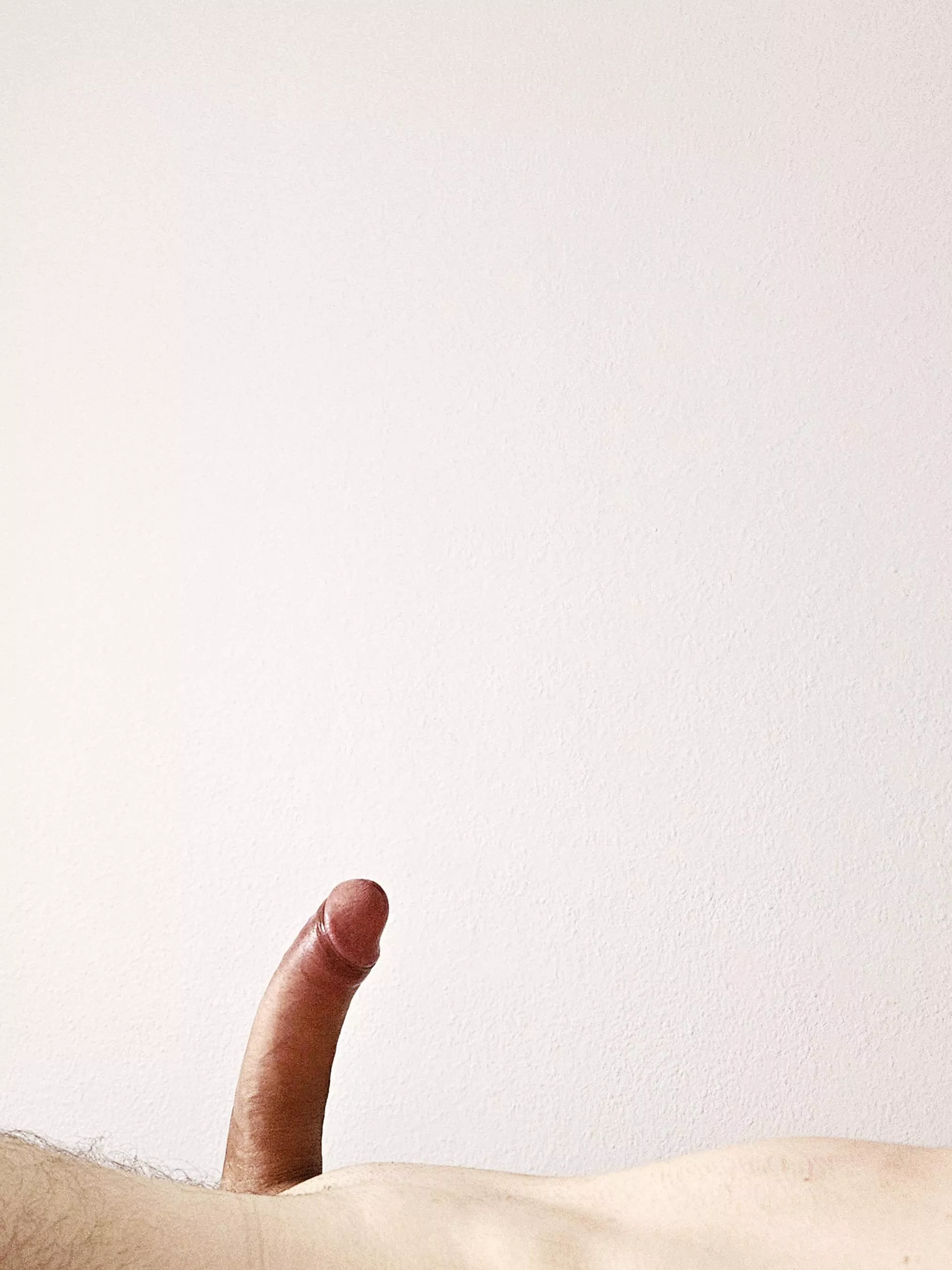 Ready. posted by willgrahamthird