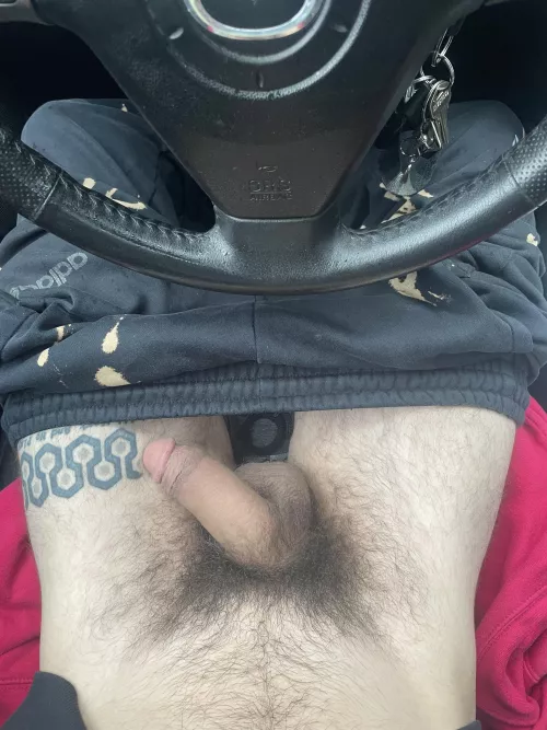 Sniff my fur in the car by XvXJasonXvX