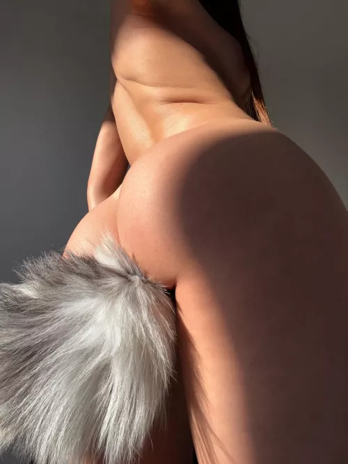 What's cuter than a locked cage and a tail plug? by Fondlyoutput