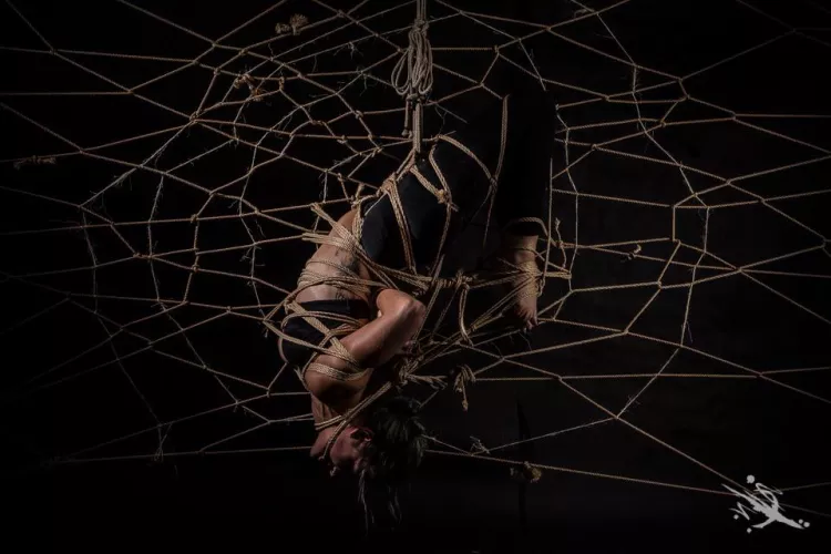 Caught in a web by Twistedinked