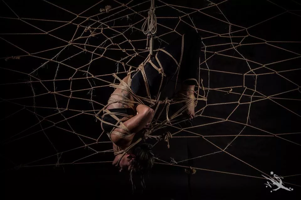 Caught in a web posted by Twistedinked