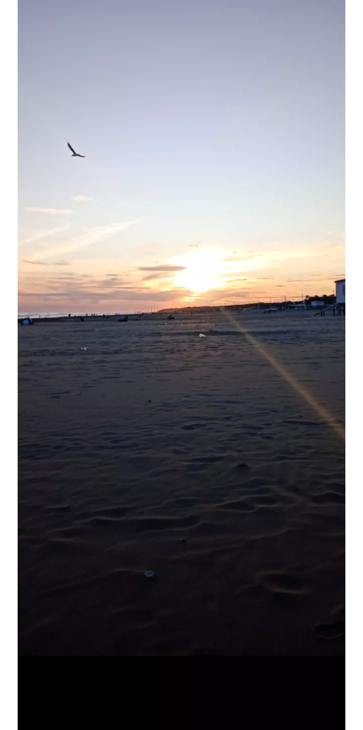 reconnect with nature and these sunsets posted by SolSex35