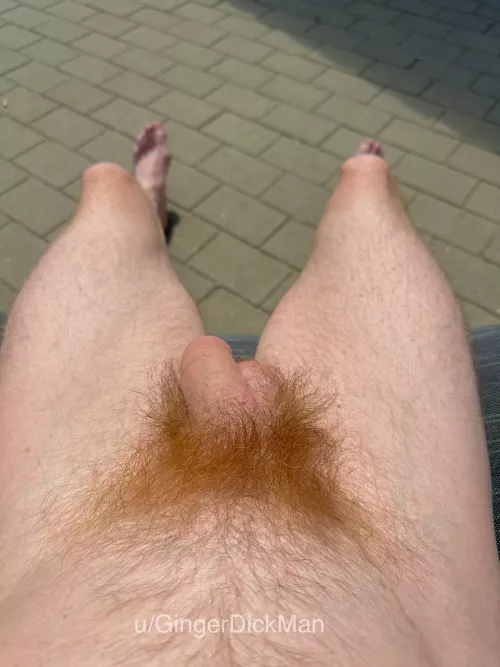 Who wanna join me ? by GingerDickMan