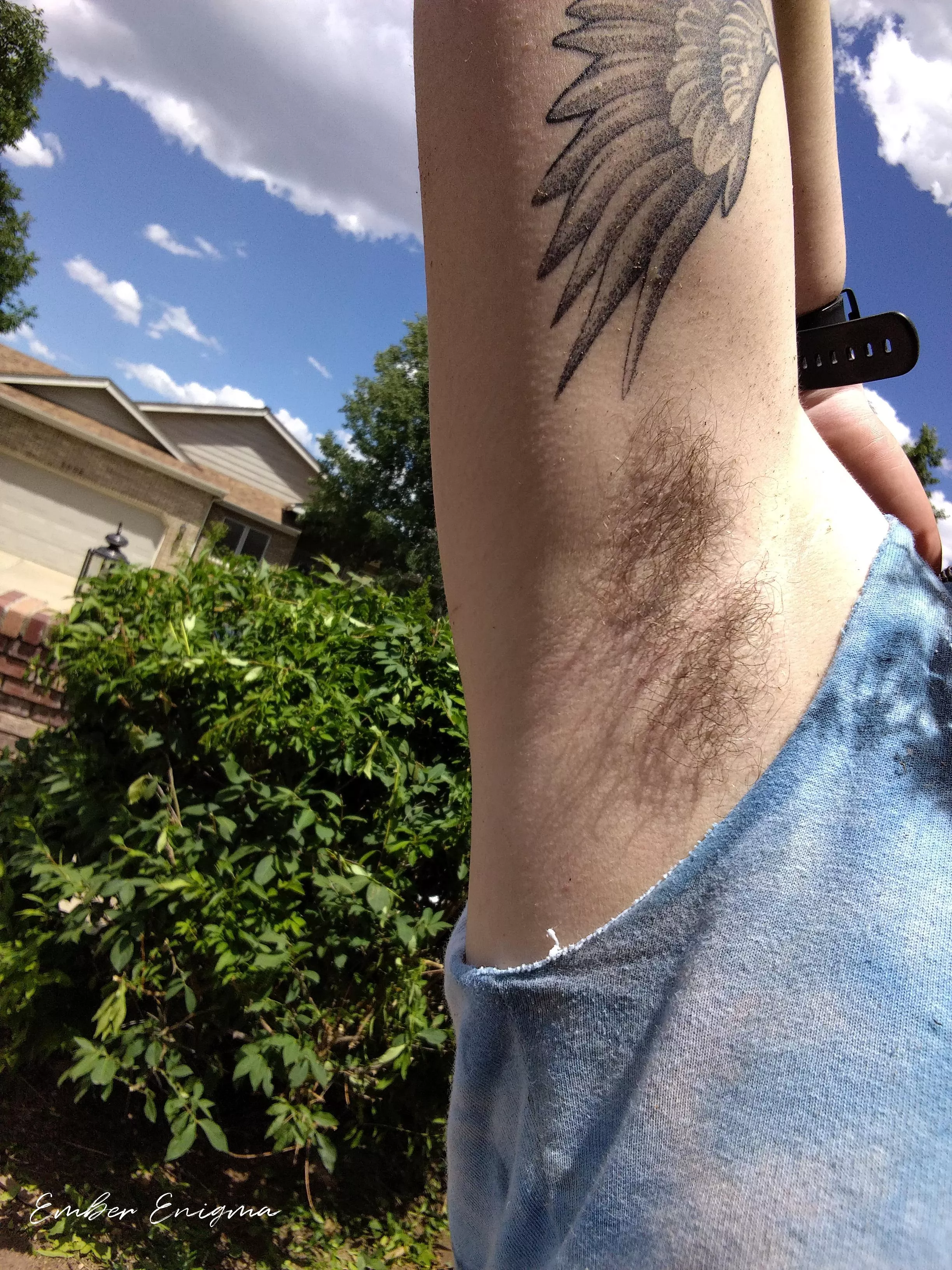 Yard work is done, lick the sweat off of my pits to help clean me up?  posted by emberXenigma