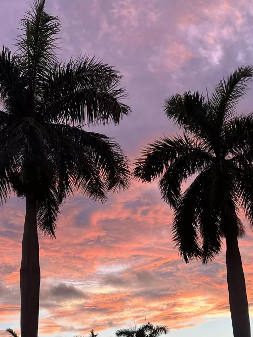 Beautiful Naples sunset  by Lost-Amphibian4788