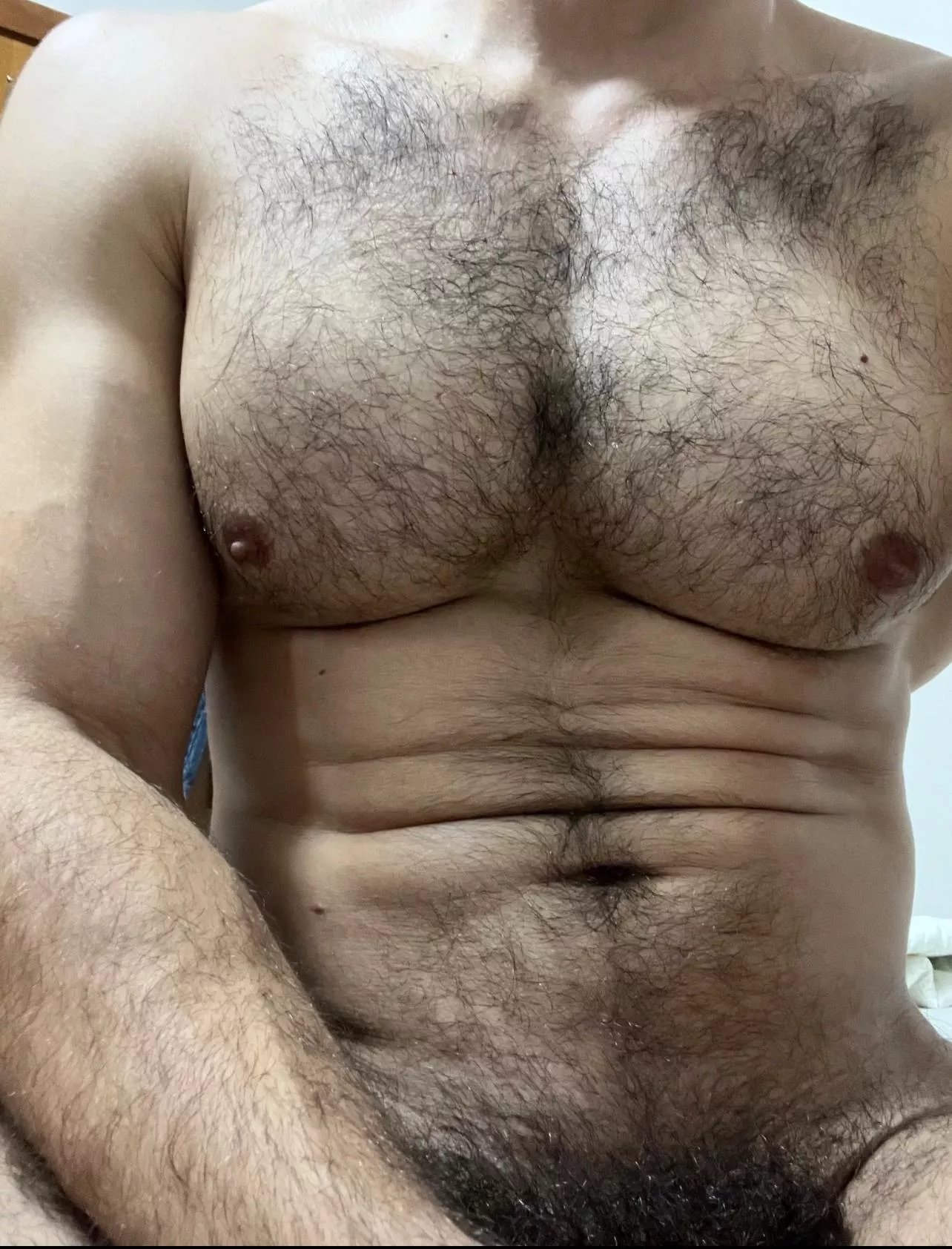 Bro, is it too hairy? [24] posted by calebpec