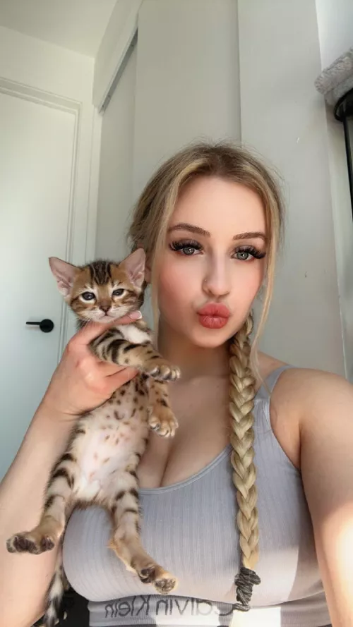 My cat say HI by envyluna_