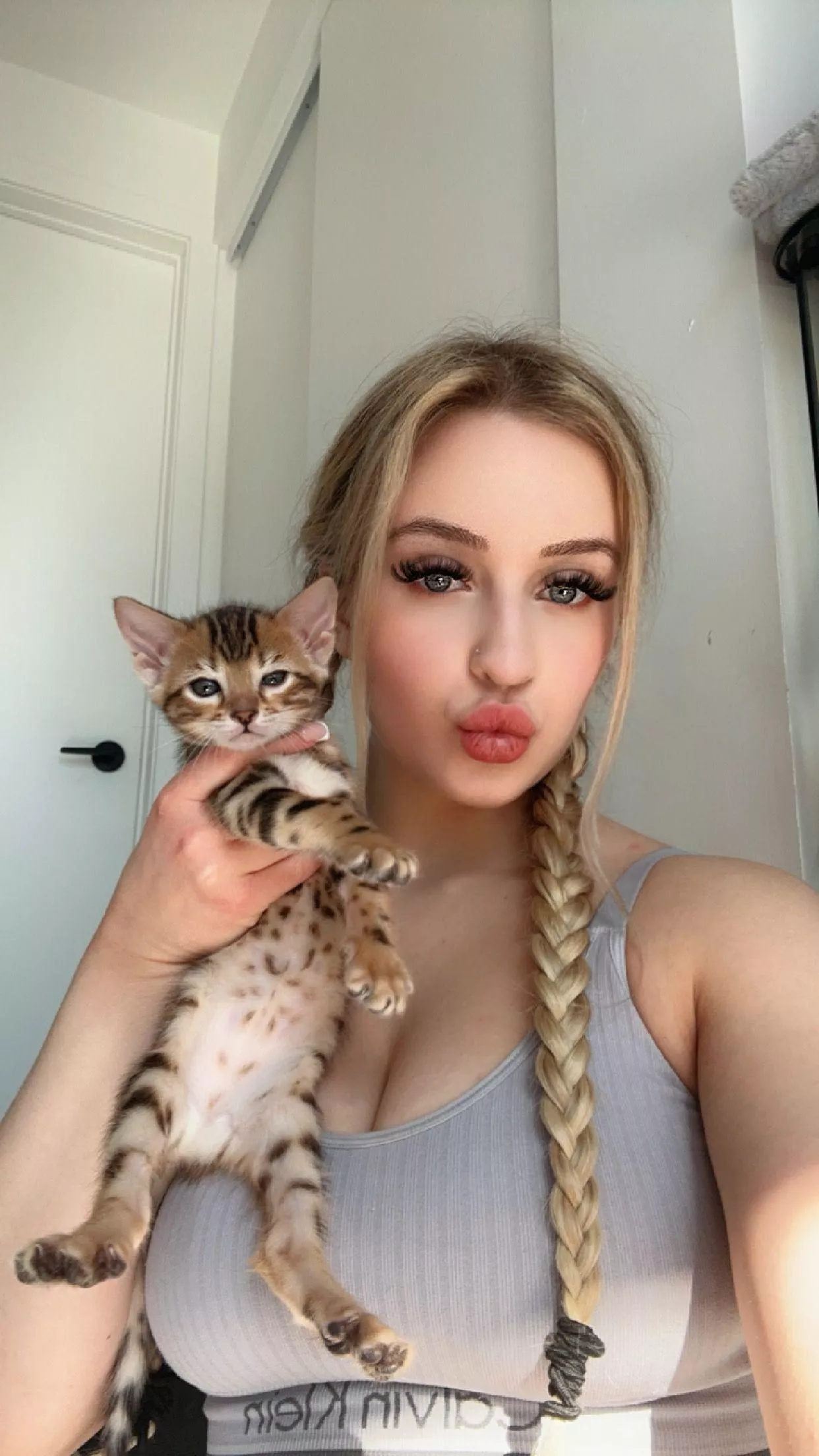 My cat say HI posted by envyluna_