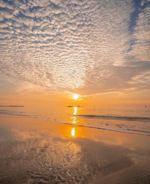 The perfect excuse to get up early by Fuzzy_Increase_3863