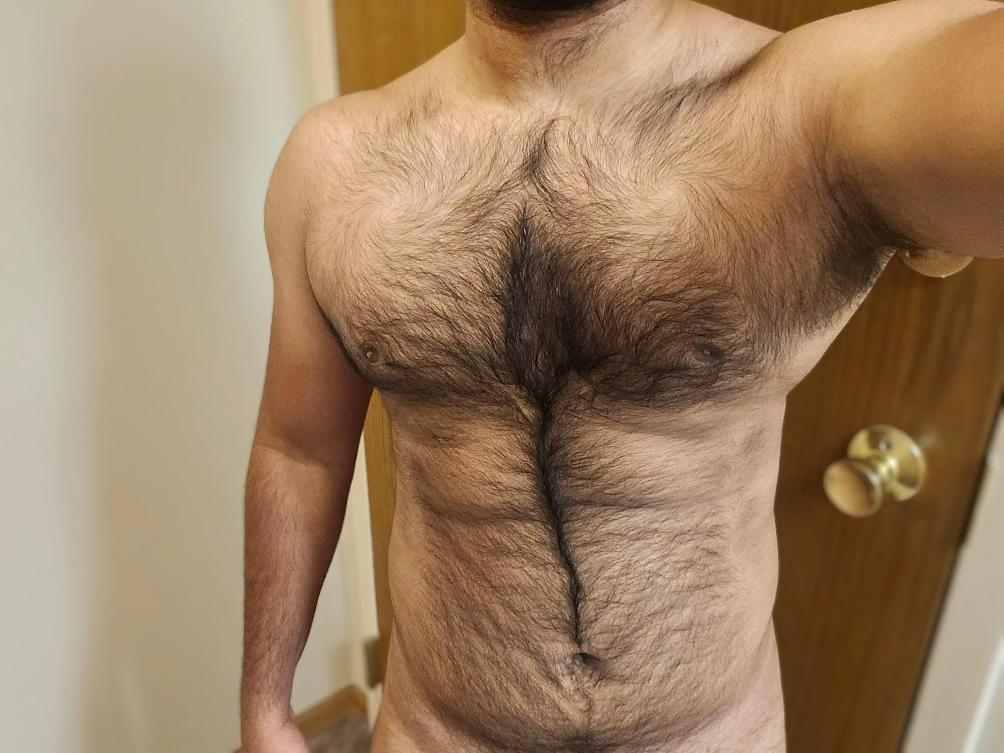 Wanna get on the trail of the treasure?  posted by CaptSchwanzKopf