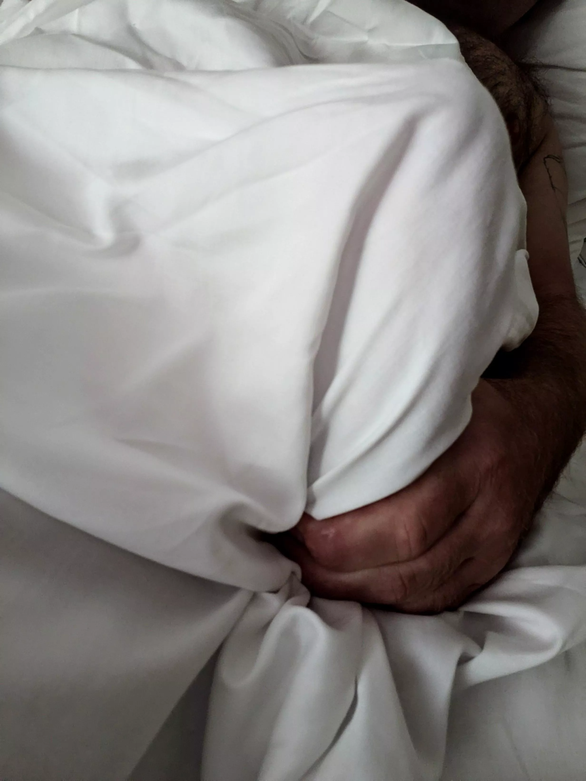 What's that under the covers? posted by bigfloppynuts