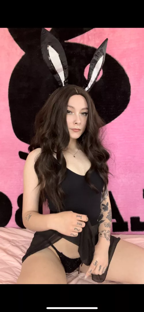 Would you let this bumny bounce on your face  by medusarosexo