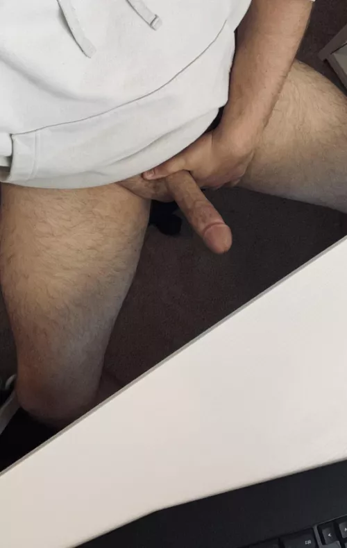 95% of my WFH days look like this! [31] by DL_husband