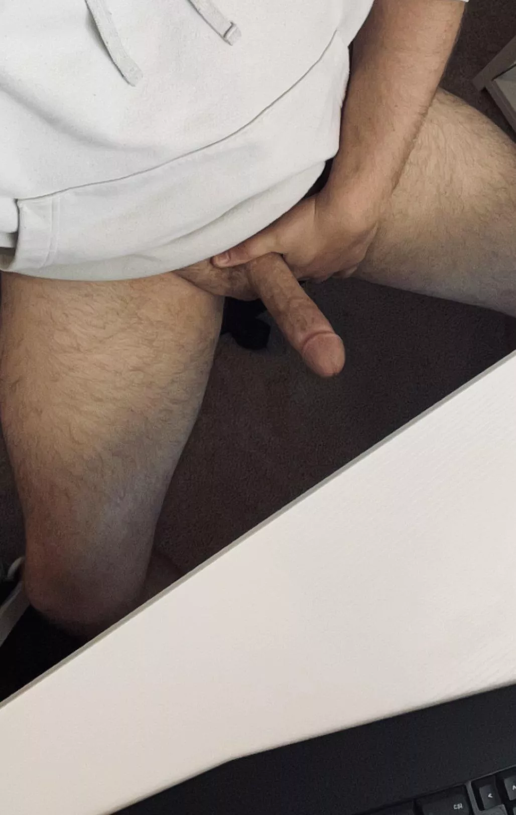 95% of my WFH days look like this! [31] posted by DL_husband