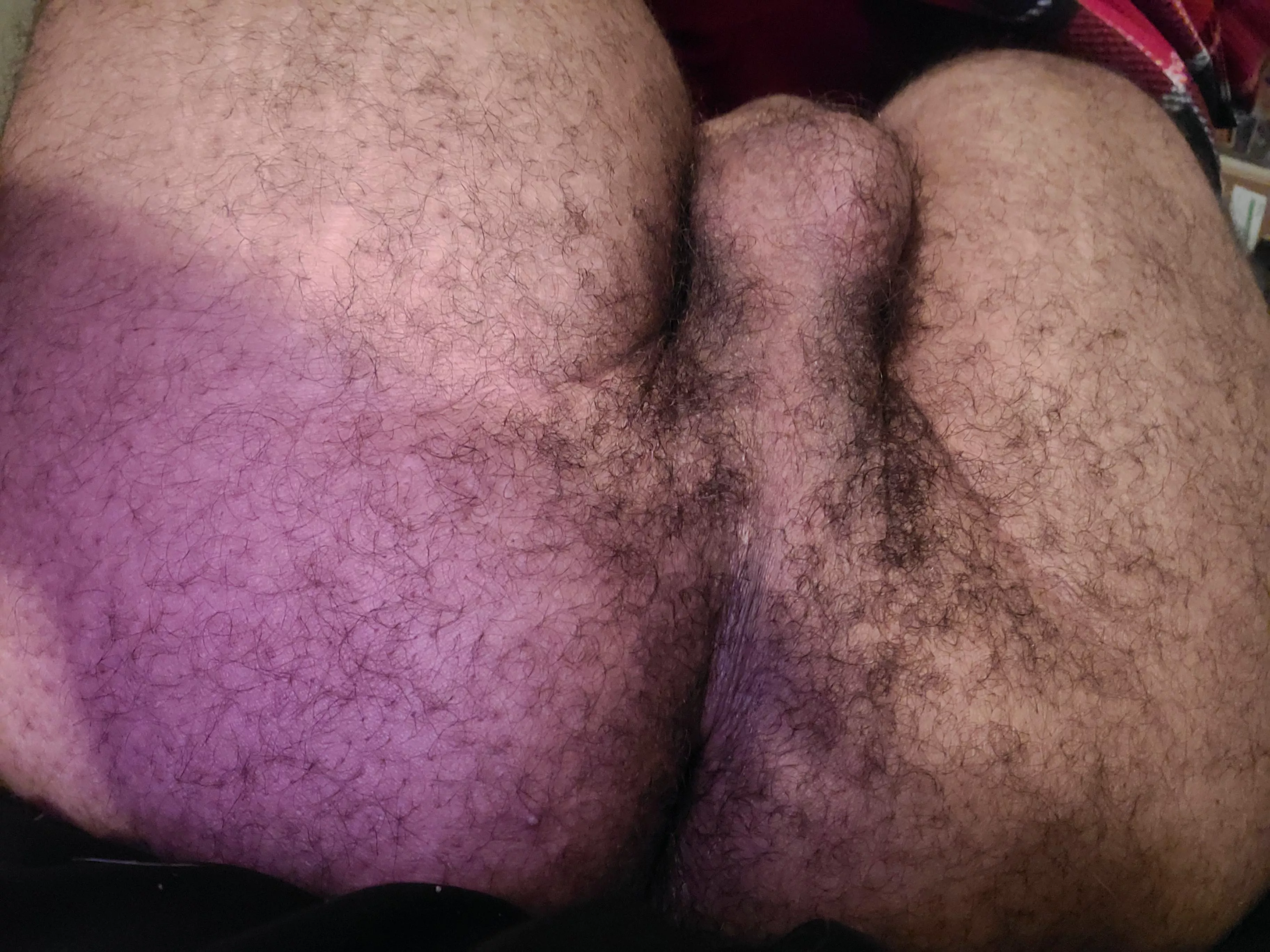 Come breed me posted by Appropriate_Buy2704