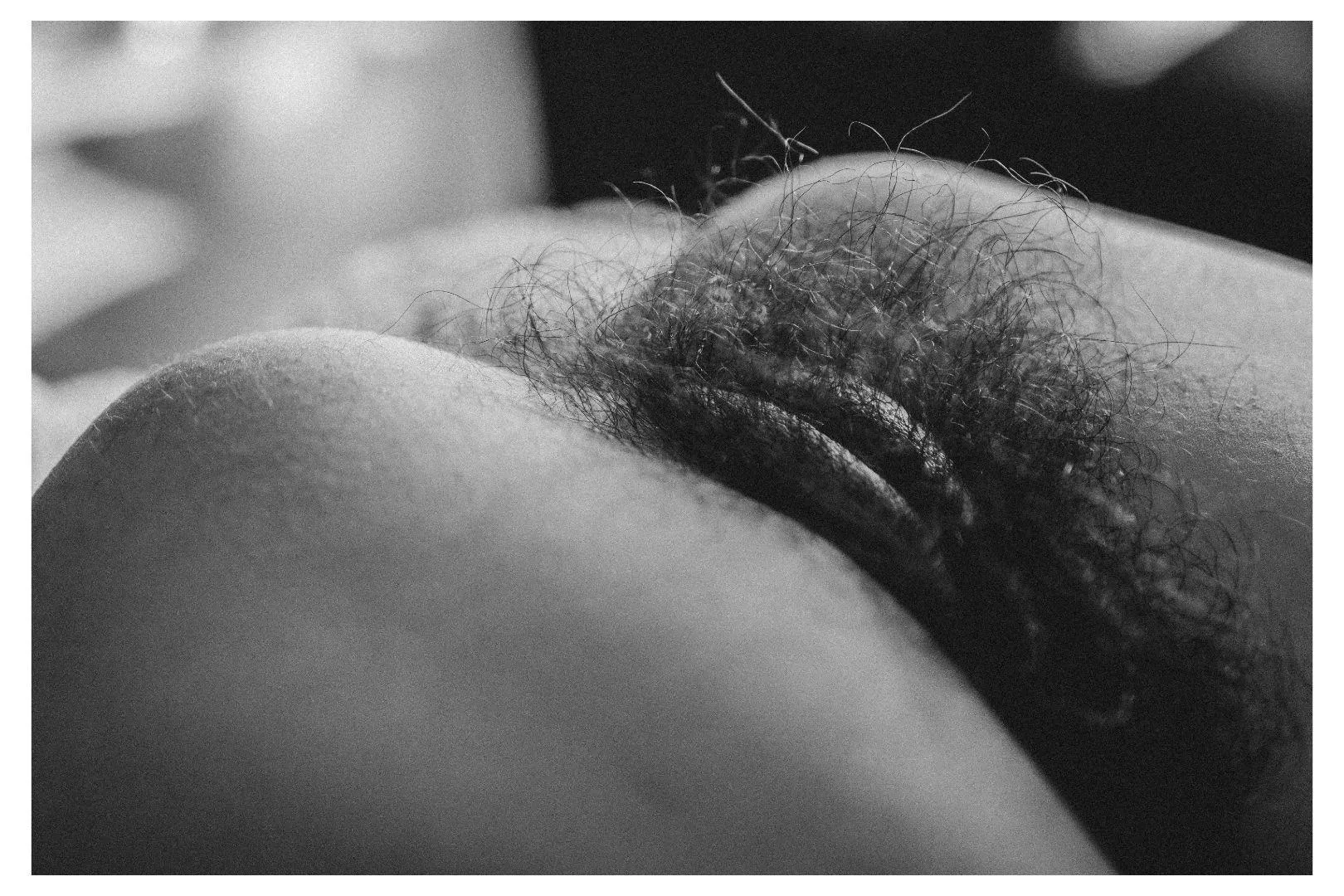 So [h]airy and so plump posted by NessaRyans