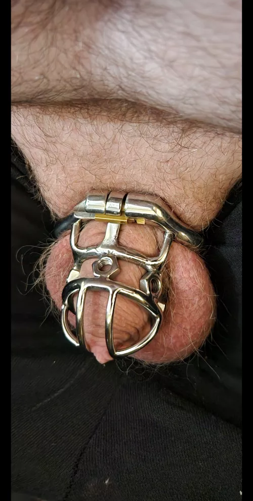 This is the smallest cage i have by Active-Difficulty-86