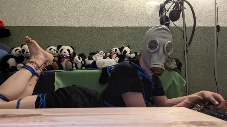 Decided to do a hog tie tonight  by lxBreadxl