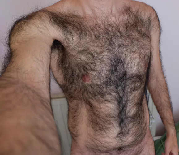 First post here, curious what you think. by Hairypanter