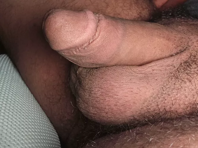 (28) Anyone else obssessed with circumcised cock? by SuccessfulTap235